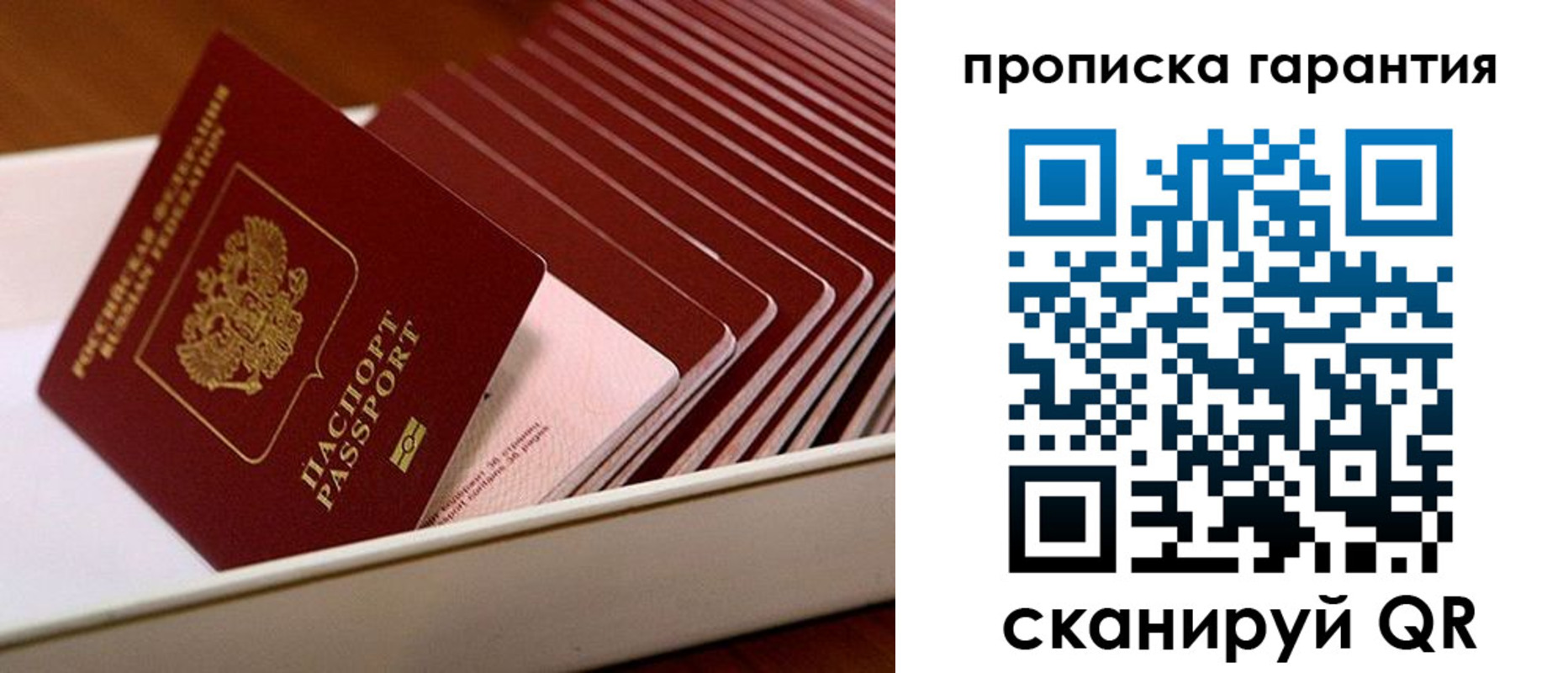 прописка поиск в Топках